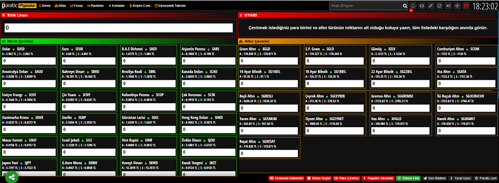 Piyasa.Paratic.com Para Çevirici Sayfası